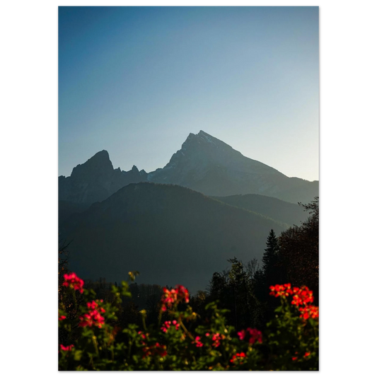 41444e6a-b20b-4f97-b2b1-f7b674027b18