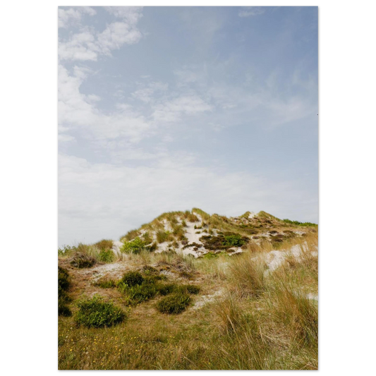 537e286c-1080-414a-a985-6d98adac932b