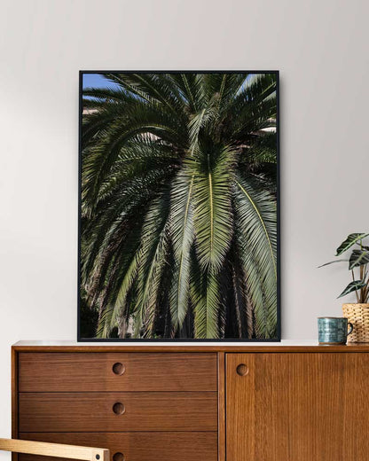 Closeup Palm