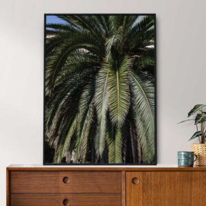 74e77a00-afa5-48b6-9229-7fb94f7bafee